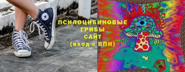 твердый Михайловка